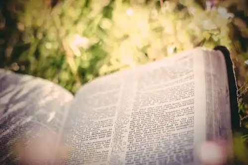 Versets Bibliques Sur Aider Votre Prochain