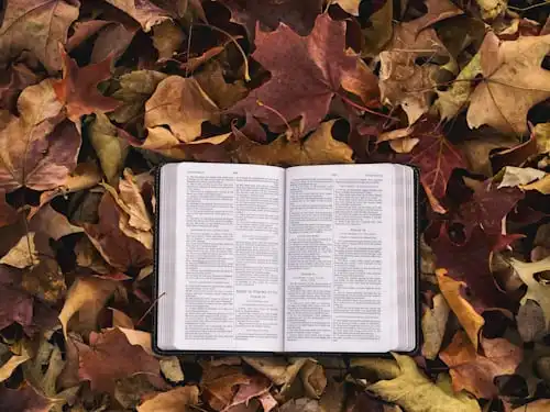 Versets Bibliques Sur Donner L'amour De Dieu