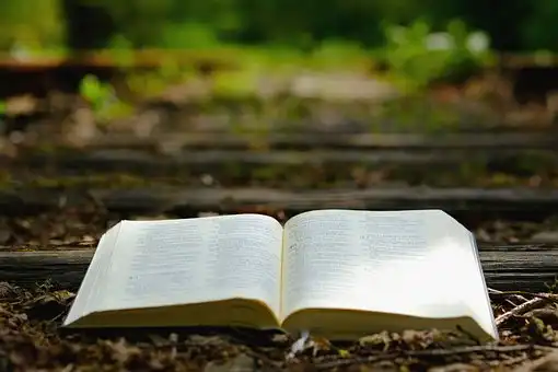 Versets Bibliques Sur L'importance De L'unité Et De La Camaraderie