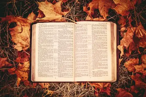 Versets Bibliques Sur La Prière Et L'intercession