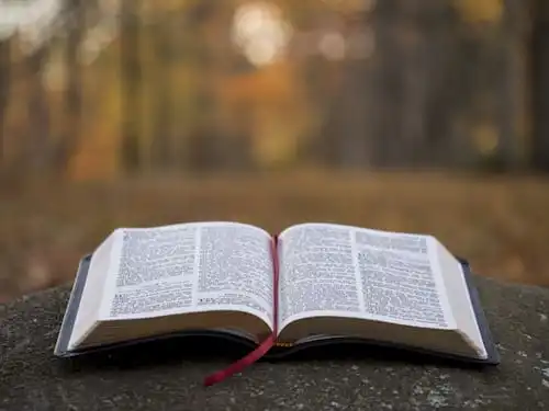 Versets Bibliques Sur Le Gouvernement Mondial