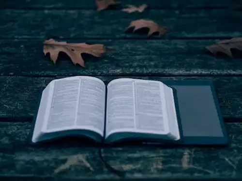 Versets Bibliques Sur Le Rôle Des Hommes
