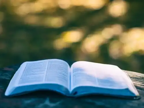 Versets Bibliques Sur Les Graines De Moutarde