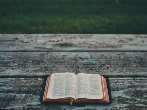 Versets Bibliques Sur Les Saisons