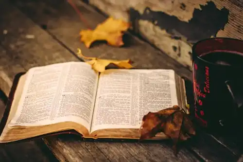 Versets Bibliques Sur Les Témoins