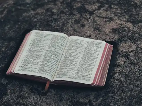 Versets Bibliques Sur Présentation à L'autorité