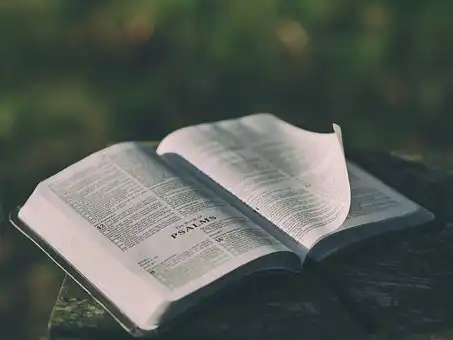 Versets Bibliques Sur Que Se Passe-t-il Après La Mort ?