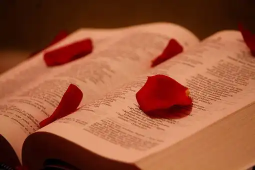Versets Bibliques Sur Trouver Votre But