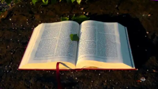 Versets Bibliques Sur Votre Entourage