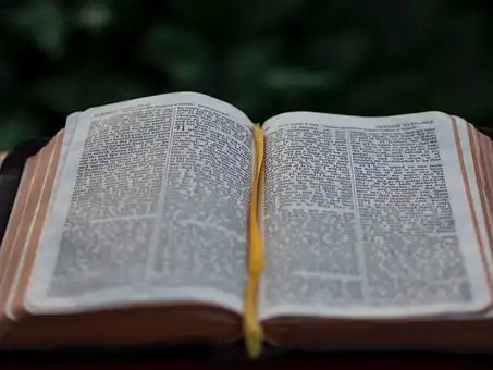 Versets De La Bible Sur Commencer Nouveau