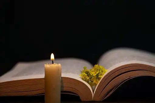 Versículos Da Bíblia Sobre Falsos Diáconos