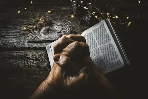 Versículos Da Bíblia Sobre Leão